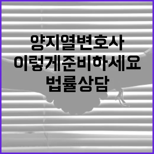 양지열 변호사와 법률 상담, 이렇게 준비하세요 - 요약