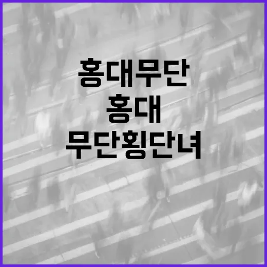 홍대 무단횡단녀 사건이 주는 교훈: 안전한 길 건너기 방법 - 요약