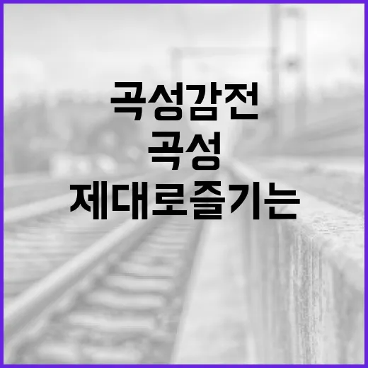 곡성 감전을 제대로 즐기는 방법 - 요약