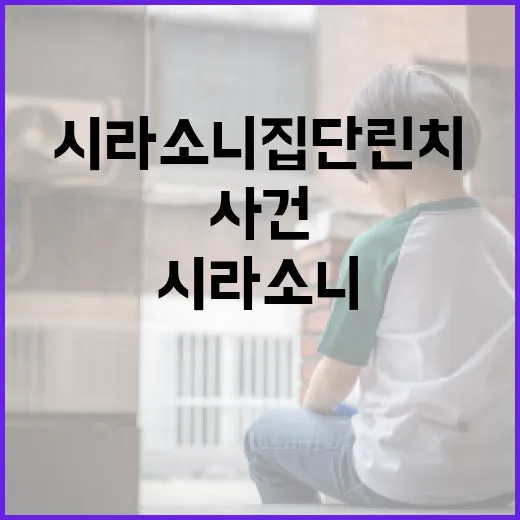 시라소니 집단린치 사건의 이해와 교훈 - 요약
