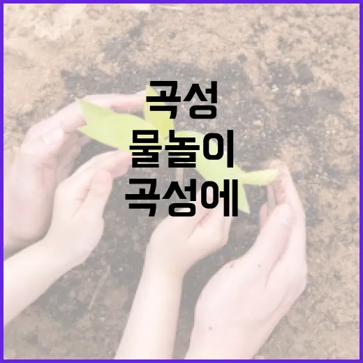 한찬식: 요리의 새로운 패러다임 - 요약