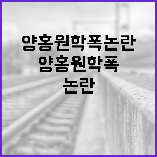 양홍원 학폭 논란 이해하기: 그 진실을 찾아서 - 요약