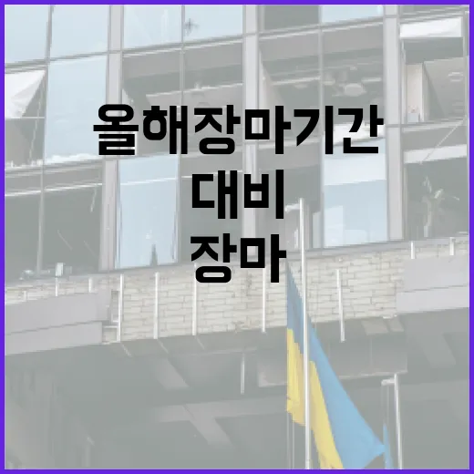 올해 장마기간을 잘 대비하는 방법 - 요약