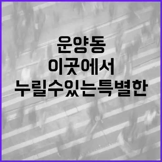 운양동 1209-71, 이곳에서 누릴 수 있는 특별한 매력 - 요약