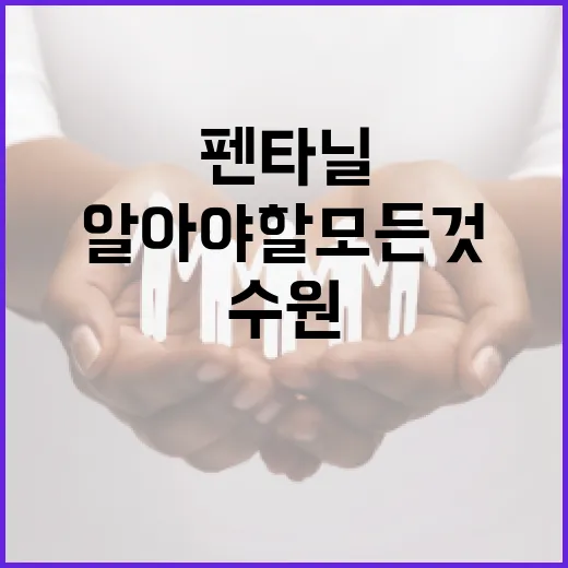 수원에서 펜타닐에 대해 알아야 할 모든 것 - 요약