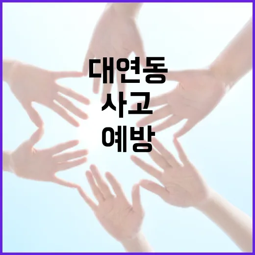 대연동 사고를 예방하는 방법 - 요약