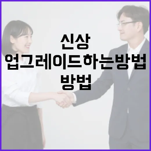 올다르크 신상으로 스타일 업그레이드하는 방법 - 요약