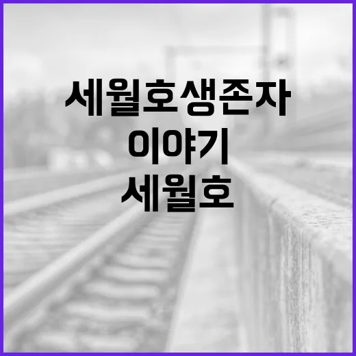 세월호 생존자의 아픔, 그들의 이야기를 듣다 - 요약