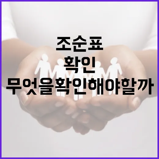 조순표를 검색했는데 정보가 적다면 무엇을 확인해야 할까요? - 요약
