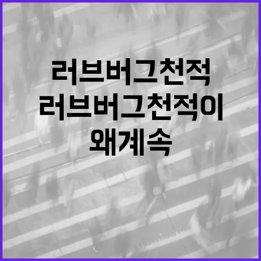 러브버그 천적이 있는데도 왜 계속 늘어나는 걸까요? - 요약