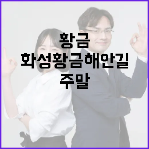 화성 황금해안길, 주말에 그냥 가도 괜찮을까요? - 요약