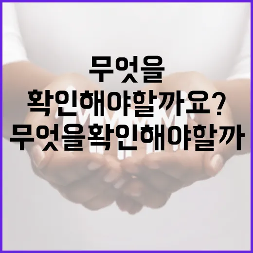 거제 칼부림 소식, 우리 일상에서 무엇을 확인해야 할까요? - 요약