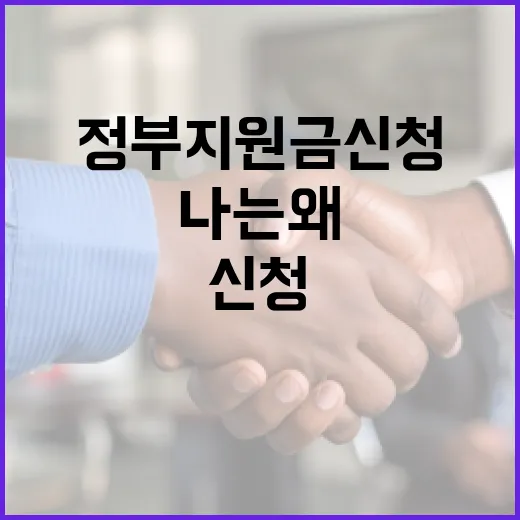 정부지원금신청, 나는 왜 자꾸 놓치고 있을까요? - 요약