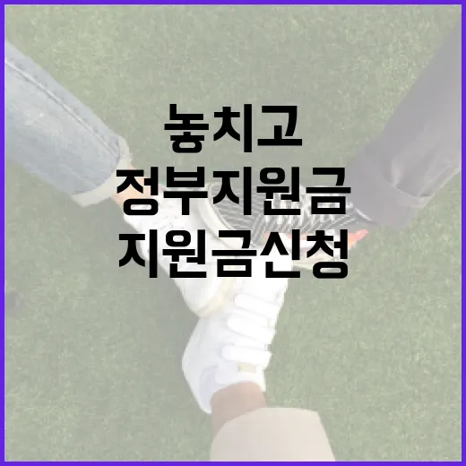 정부지원금신청, 왜 나는 자꾸 놓치고 있을까요? - 요약