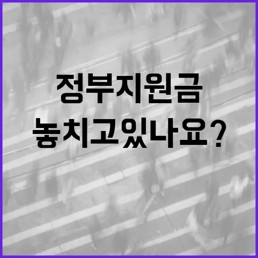 정부지원금신청, 나도 받을 수 있는 돈을 놓치고 있나요? - 요약