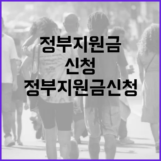 정부지원금신청, 어디서부터 확인해야 덜 놓칠까요? - 요약