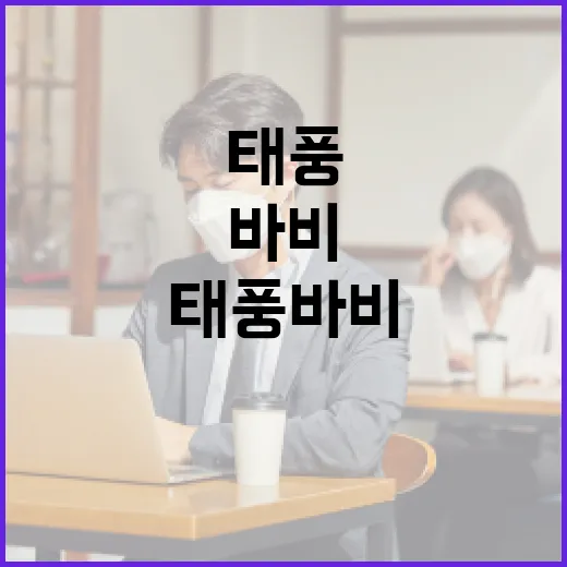 태풍 바비, 왜 이름만 들어도 대비 이야기가 나올까요? - 요약