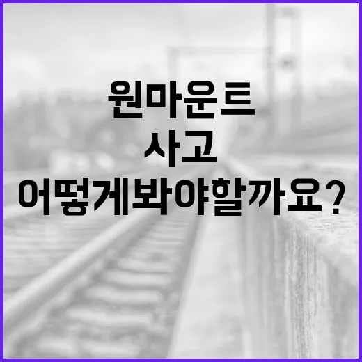 원마운트 사고 소식, 우리 가족 외출 계획은 어떻게 봐야 할까요? - 요약
