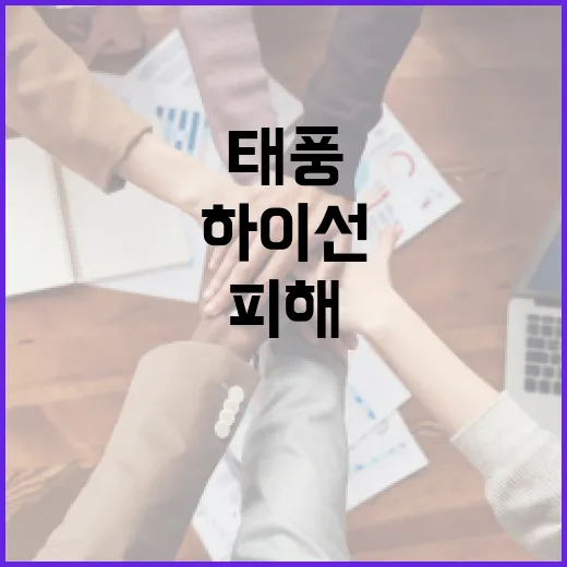 태풍 하이선, 왜 생활 피해가 크게 느껴졌을까요? - 요약