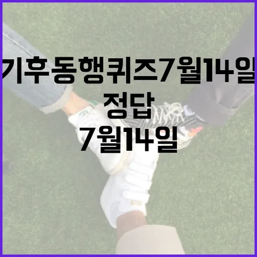 기후동행퀴즈 7월14일, 정답만 보고 넘어가도 괜찮을까요? - 요약