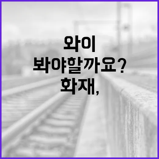 와이시티 화재, 우리 집 대피 방식도 다시 봐야 할까요? - 요약