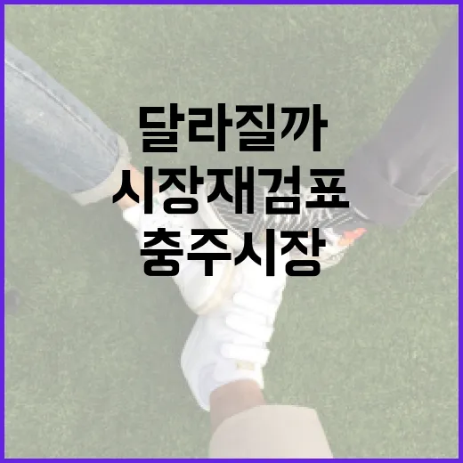 충주시장 재검표, 내 생활에는 뭐가 달라질까요? - 요약