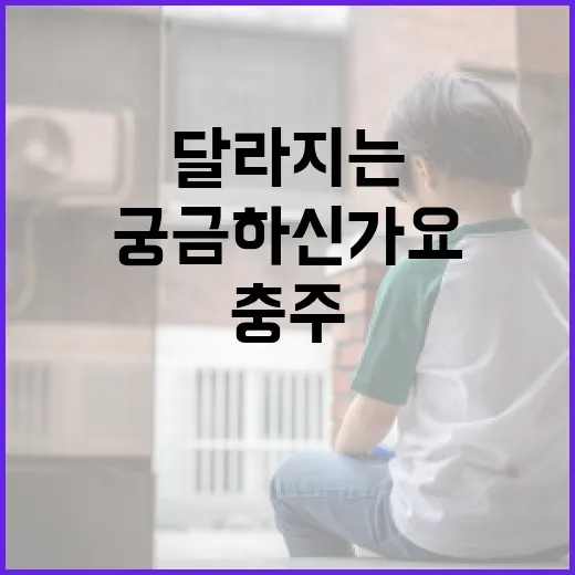 충주 재검표가 궁금하신가요, 실제로 달라지는 건 뭘까요? - 요약