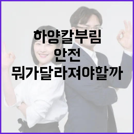 하양 칼부림 이후, 우리 동네 안전은 뭐가 달라져야 할까요? - 요약
