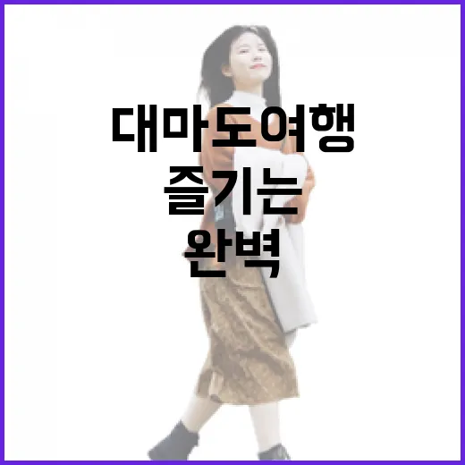 대마도 여행을 완벽하게 즐기는 방법 - 요약
