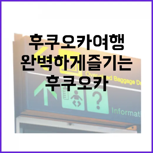 후쿠오카 여행을 완벽하게 즐기는 방법 - 요약