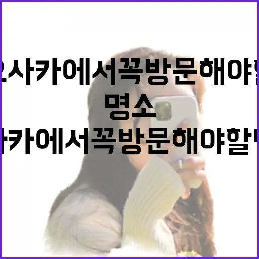 오사카에서 꼭 방문해야 할 명소를 발견하는 방법 - 요약