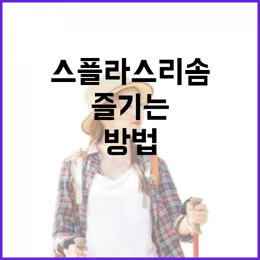 스플라스 리솜을 완벽히 즐기는 방법 - 요약
