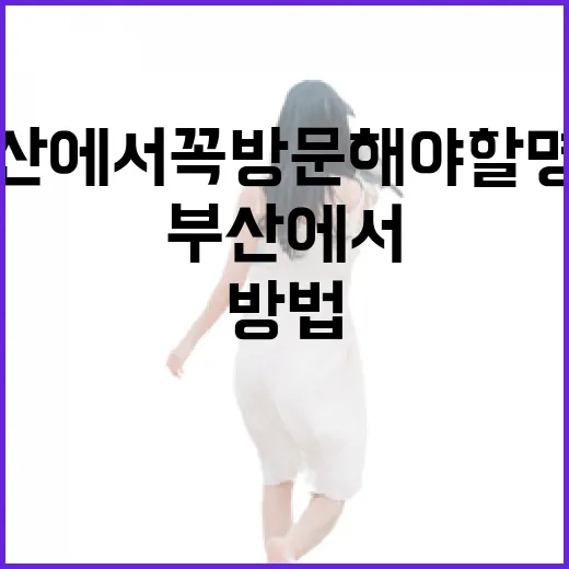 부산에서 꼭 방문해야 할 명소를 찾는 방법 - 요약