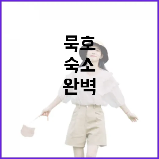 묵호에서 완벽한 숙소를 찾는 방법 - 요약