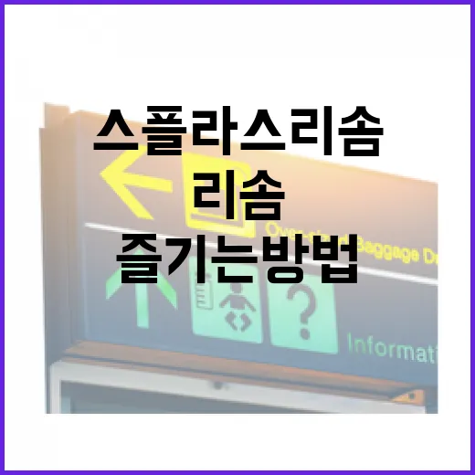 스플라스 리솜에서 꿈같은 휴가를 즐기는 방법 - 요약