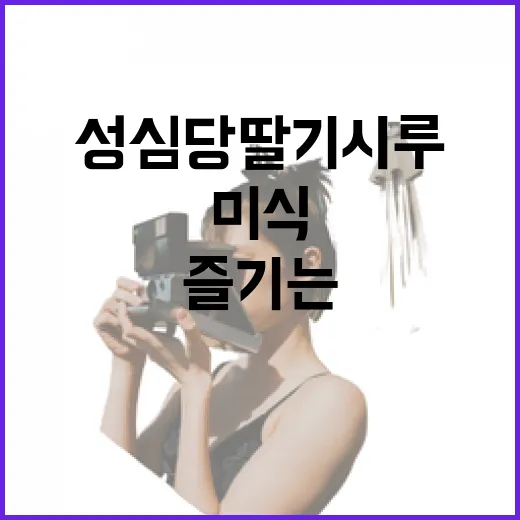 성심당 딸기시루로 특별한 미식을 즐기는 방법 - 요약