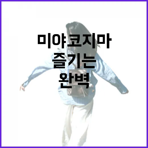 미야코지마를 완벽하게 즐기는 방법 - 요약