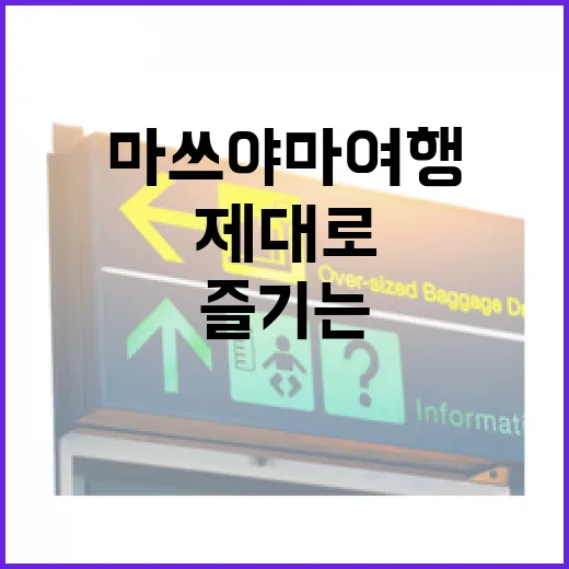 마쓰야마 여행을 제대로 즐기는 방법 - 요약