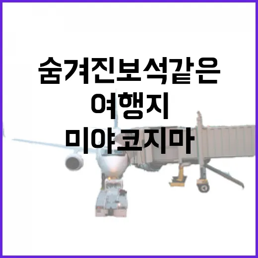 미야코지마를 제대로 즐기는 방법: 숨겨진 보석 같은 여행지 - 요약