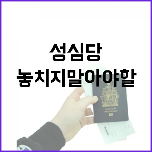 성심당에서 놓치지 말아야 할 맛있는 빵 고르는 방법 - 요약