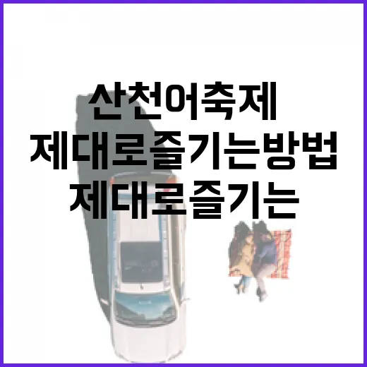 산천어축제를 제대로 즐기는 방법 - 요약