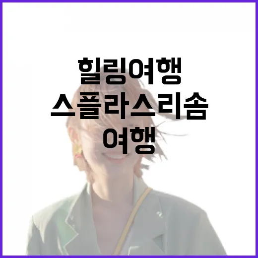 스플라스 리솜에서 완벽한 힐링 여행을 즐기는 방법 - 요약