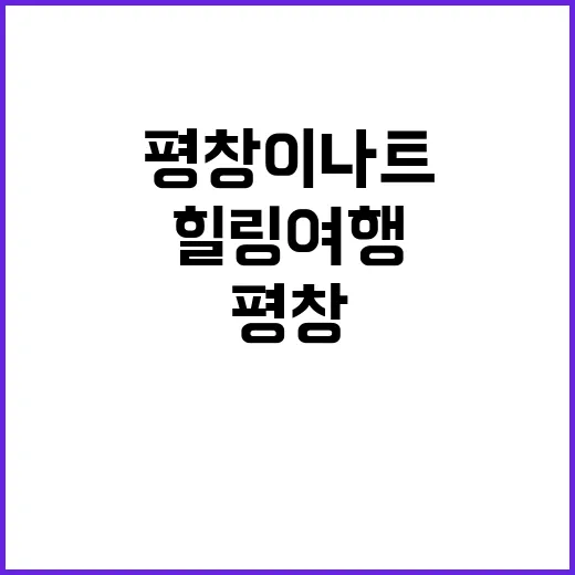 평창 이나트를 즐기…