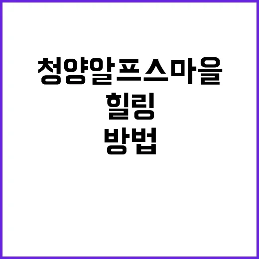 청양 알프스마을에서…