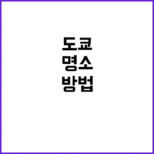 도쿄에서 꼭 방문해…