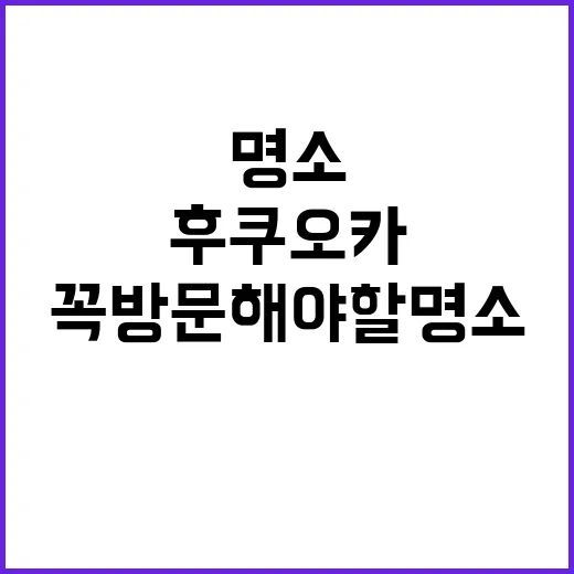 후쿠오카에서 꼭 방문해야 할 명소를 알아보는 방법