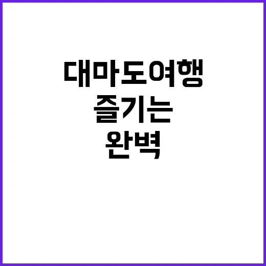 대마도 여행을 완벽하게 즐기는 방법