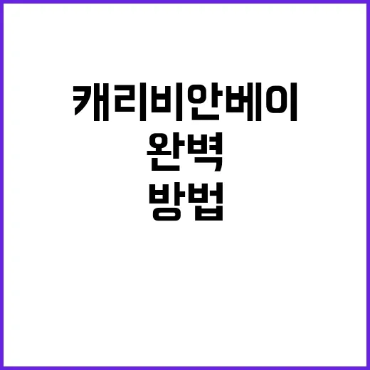 캐리비안베이에서 완벽한 하루를 보내는 방법