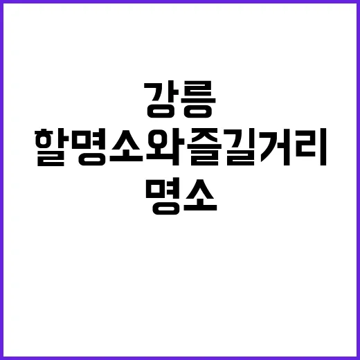 강릉에서 꼭 방문해야 할 명소와 즐길 거리