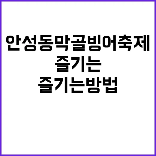 안성 동막골 빙어축제를 즐기는 방법